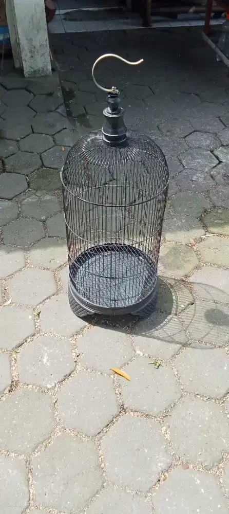 Sangkar Lovebird