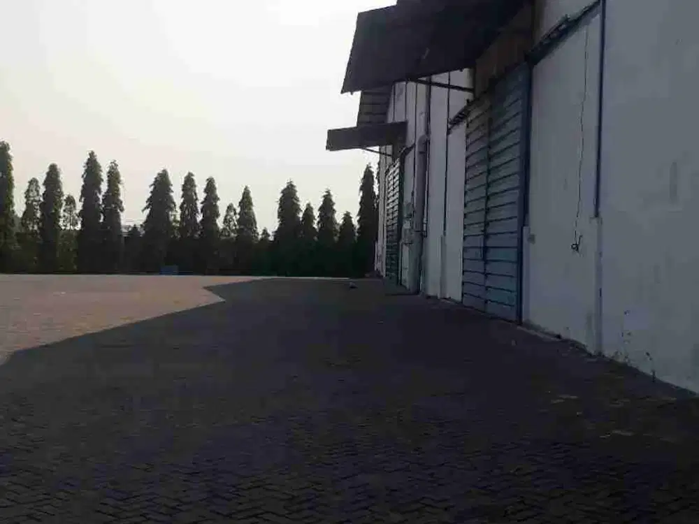 gudang sewa TERMURAH lok wringin anom