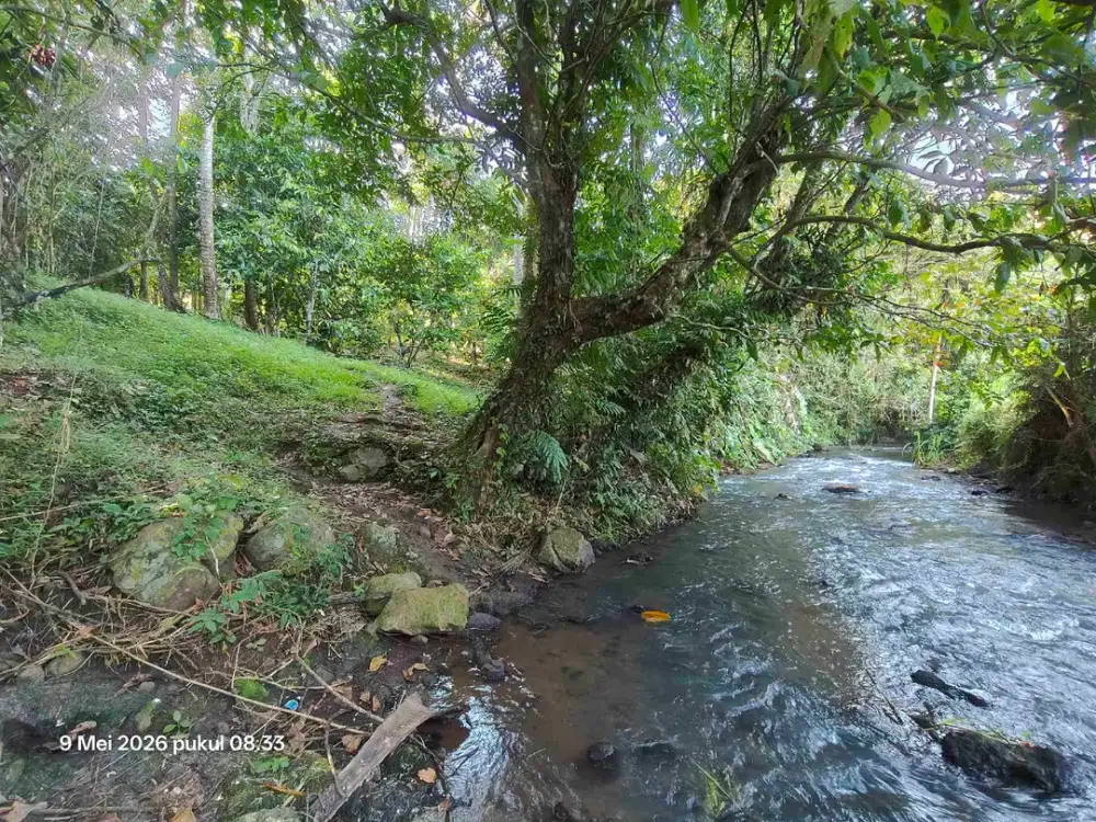 Tanah Zona Kuning View Sungai dan Sawah Terasering di Tabanan Bali