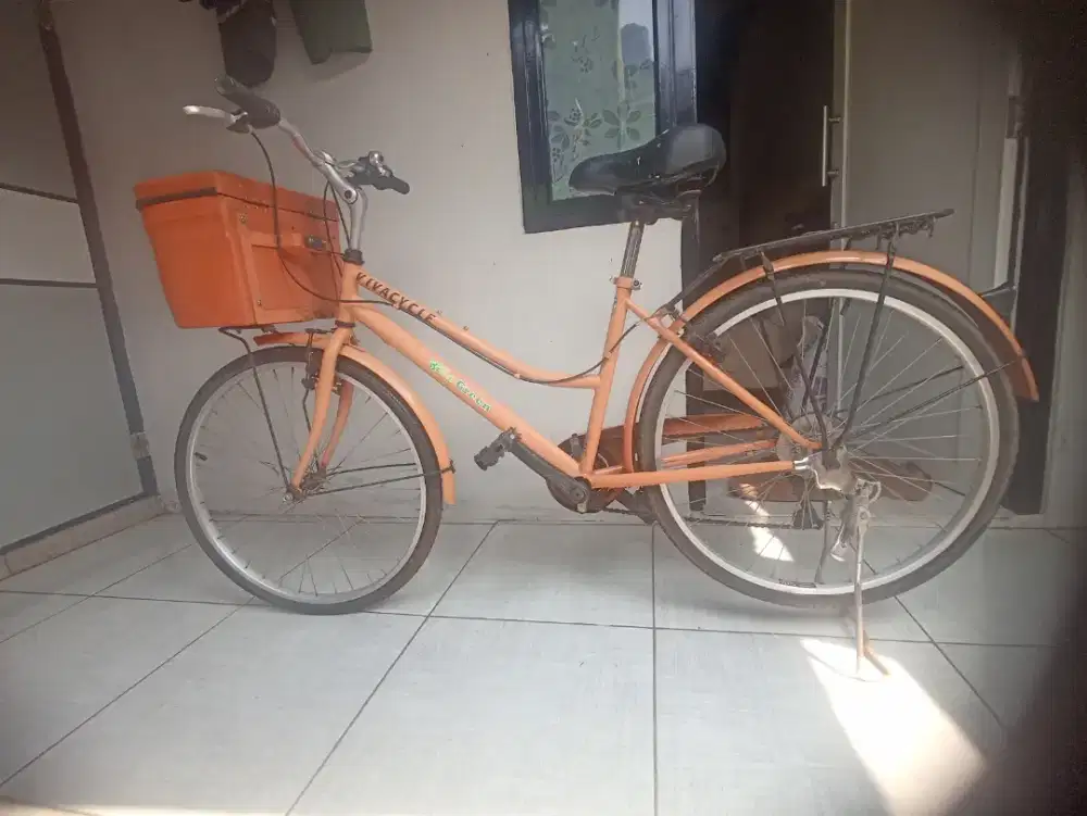 Sepeda city bike