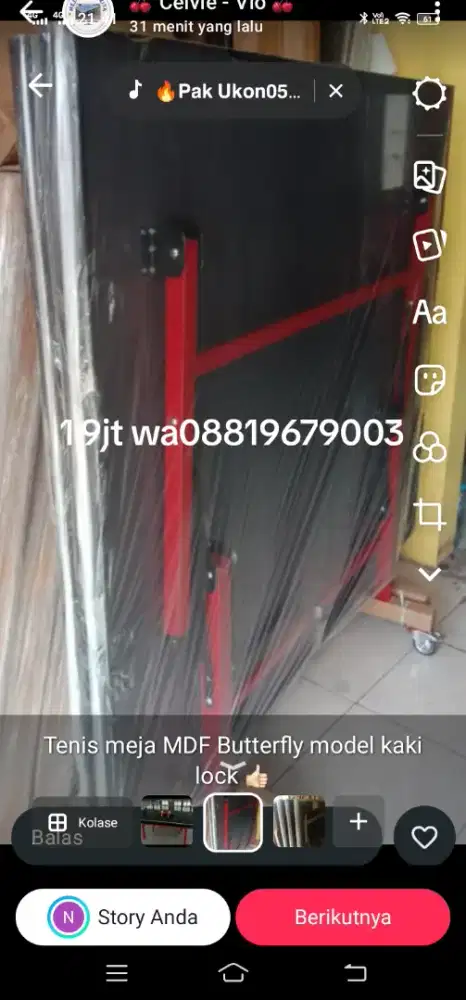 Tenis meja baru