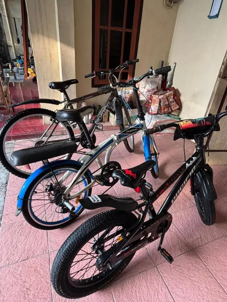 Sepeda anak dan dewasa