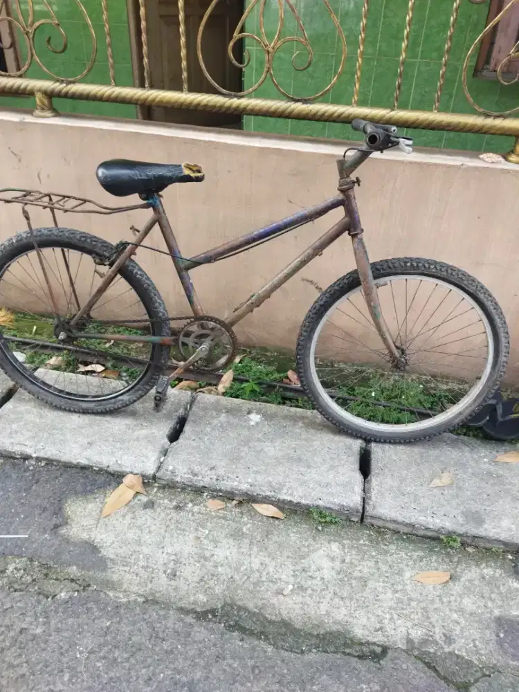 Sepeda alakadarnya