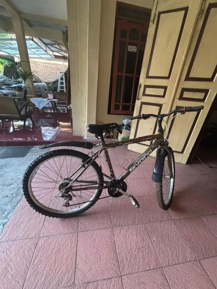 Sepeda sport dewasa
