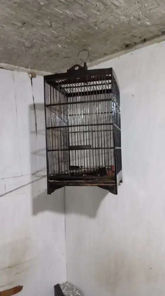 Sangkar masih bagus