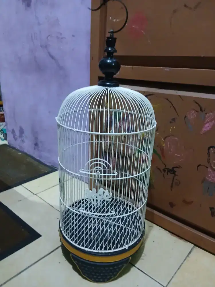 Kandang besi lb