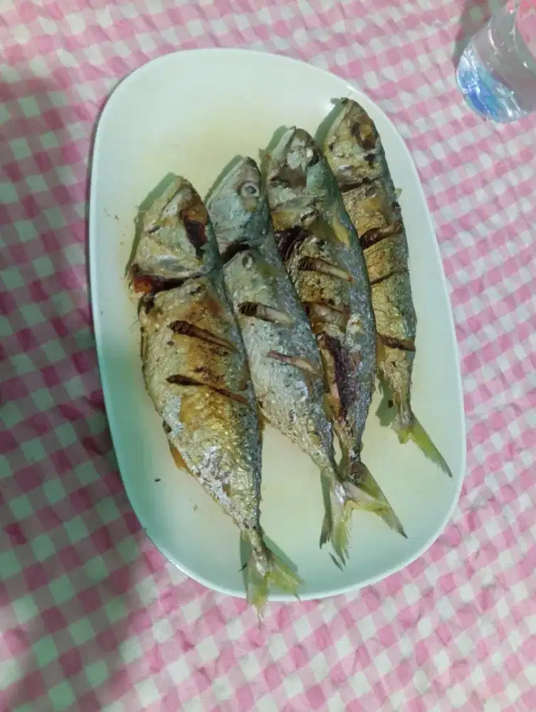 Jual ikan laut ikan