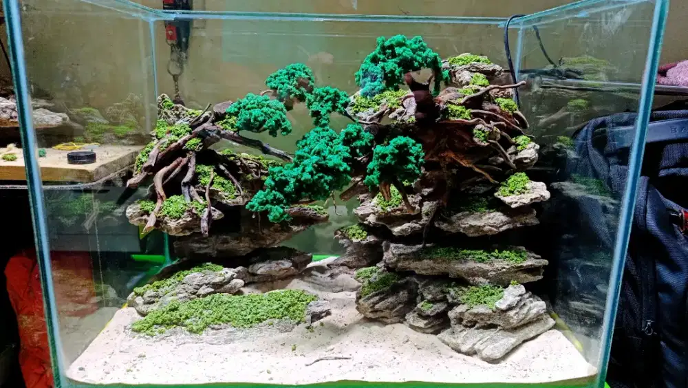 Aquascape Akuarium Aquarium fullset siap kirim dan pakai fullset