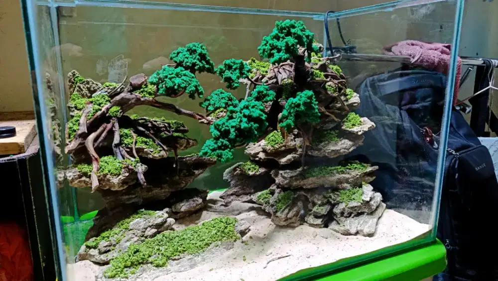 Akuarium Aquascape Aquarium Baru fullset siap kirim dan pakai