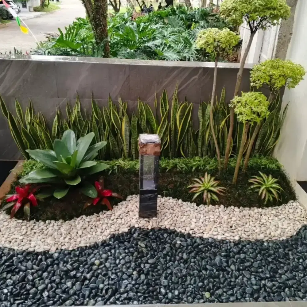 Jasa tukang taman