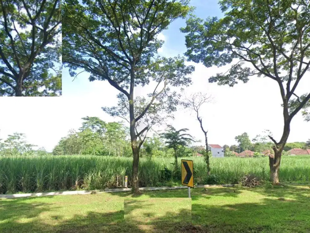 DIJUAL TANAH KOMODOR UDARA ABDUL RAHMAN SALEH PAKIS MALANG RON.A3186