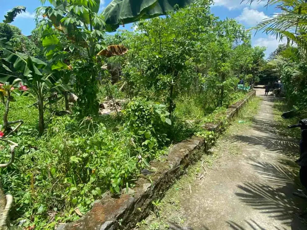 Dijual Tanah Pekarangan di Turi Tempel