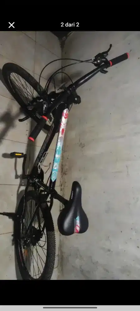 Cassini MTB sport