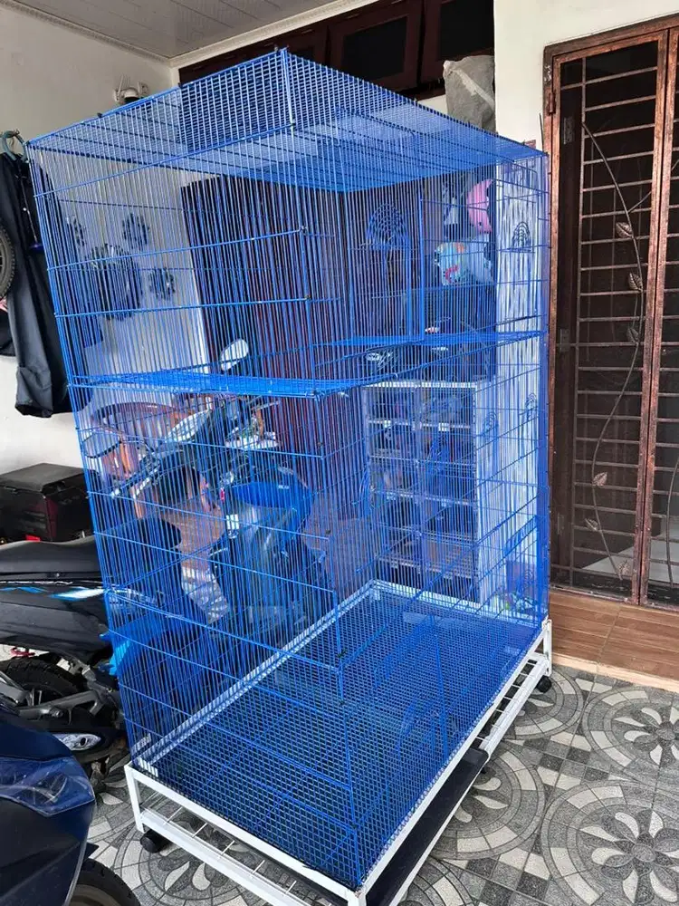 Kandang burung new