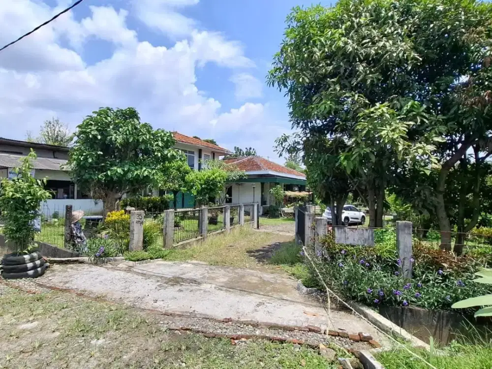 Rumah kebun di jual dekat tol dan terminal laladon Ciomas  Kab Bogor
