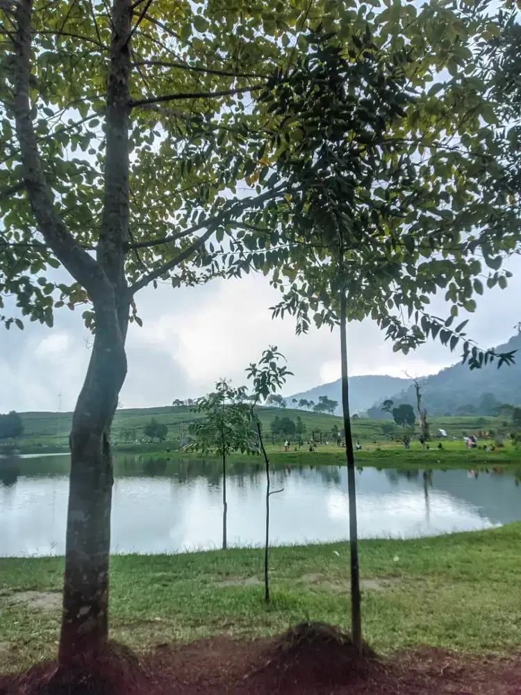 Jasa Antar Naik gunung