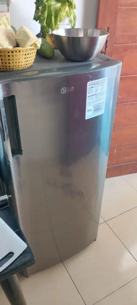 Kulkas 1 pintu LG