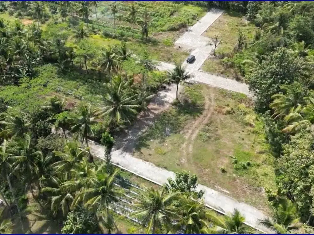 Tanah Yogyakarta Tawangsari Kulon Progo Dekat Pengadilan Agama Wates, Untuk Rumah