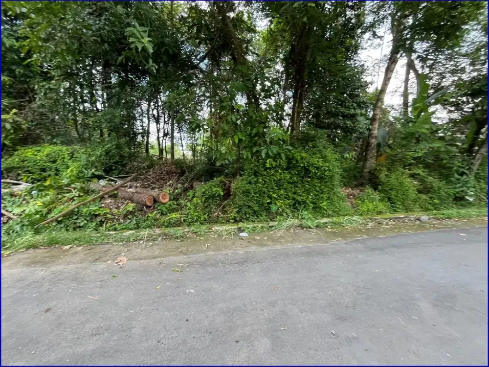 Dekat Candi Prambanan Tanah Dijual Yogyakarta Tirtomartani