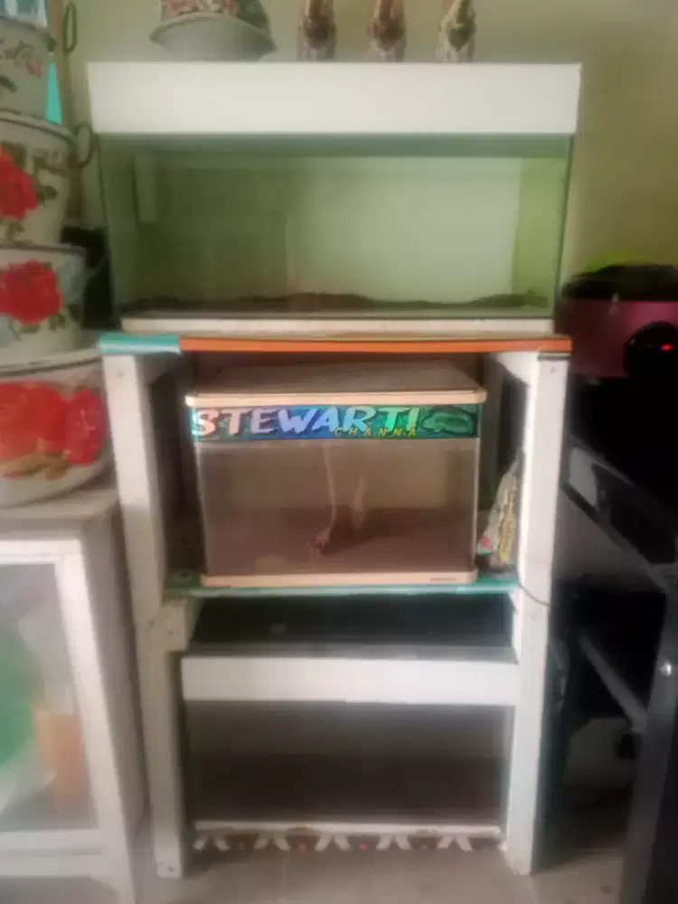 Aquarium ukuran 60