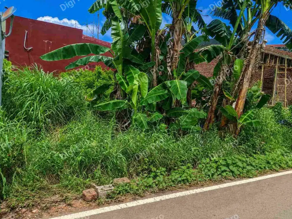 Jual Cepat Tanah Jl Mannuruki SHM, Pusat Kota Makassar