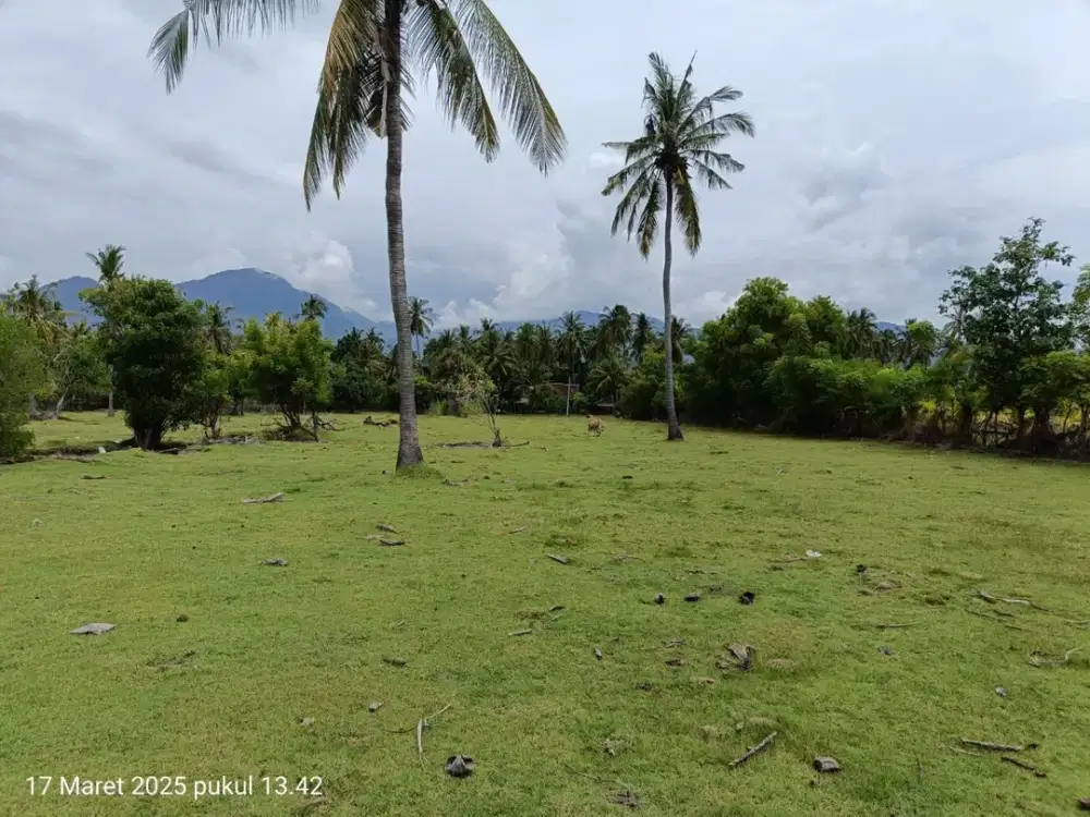Tanah Strategis Area Pantai Singaraja