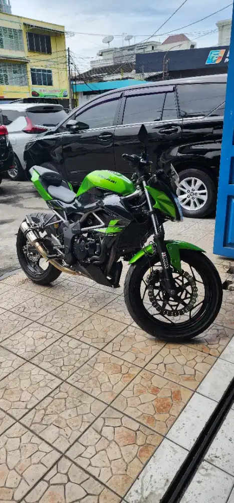Kawasaki Z Series 250cc