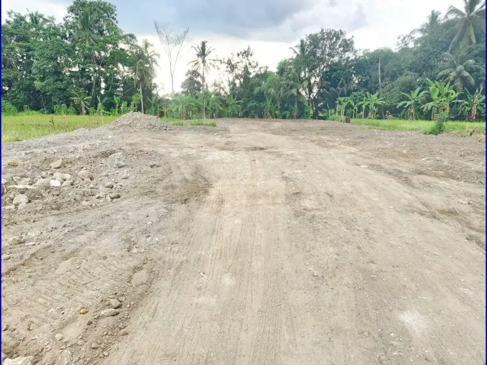 Tanah Dijual Yogyakarta Jl. Kembangan-Rejodani Dekat Jogja Eco Park