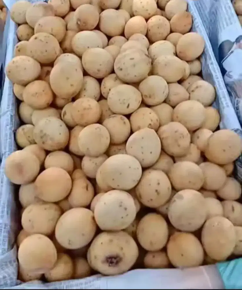 Saya sedang mencari kerja, cuci gosok,
