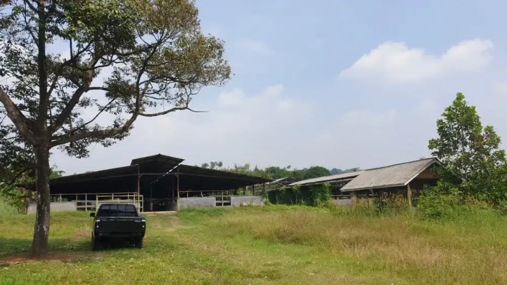 Di jual cepat kandang sapi