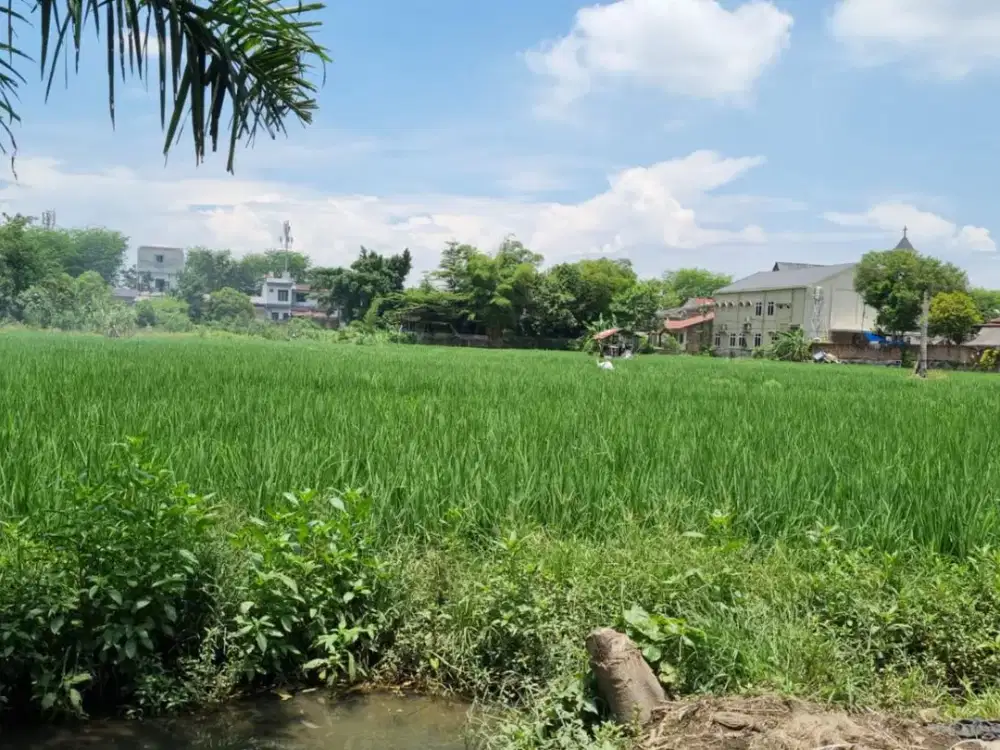 DI JUAL TANAH DI JALAN BUNGA KANTIL SEMPAKATA  DAERAH NGUMBAN SURBAKTI MEDAN!!