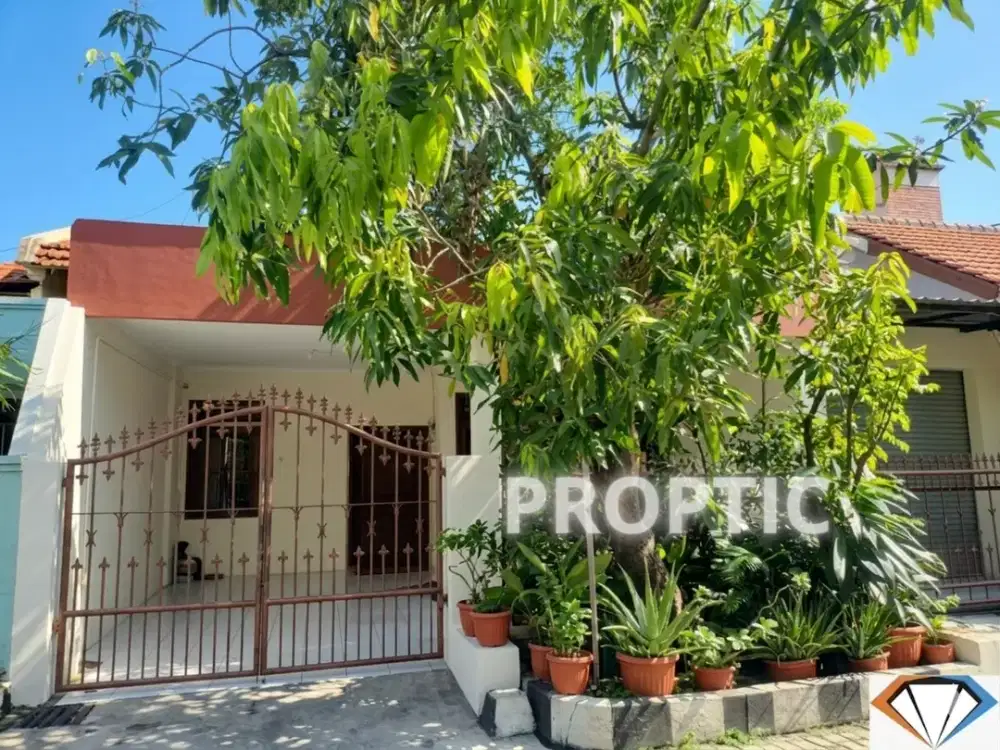 Rumah 1 Lantai Rungkut Surabaya - RM062APD