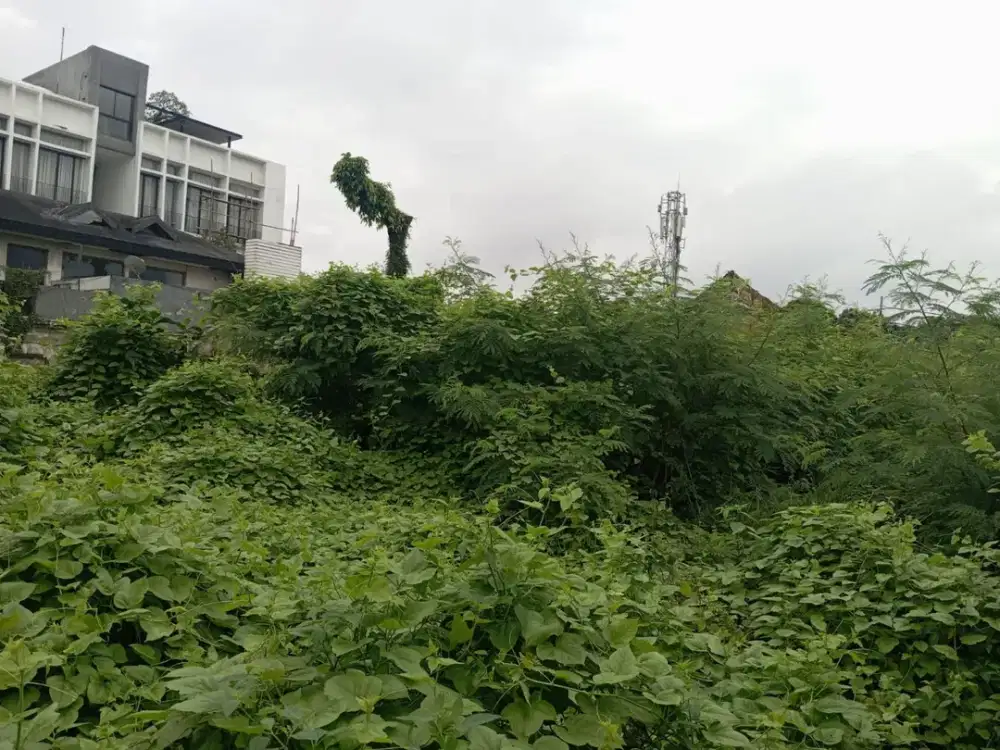 Disewakan Tanah Luas di Jalan Besar Bendungan Hilir Jakarta Pusat