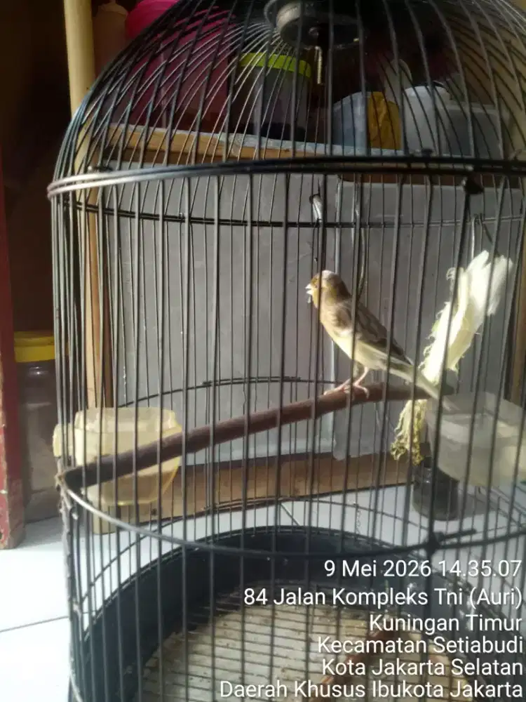 JUAL SANTAI SAMBIL NGOPI