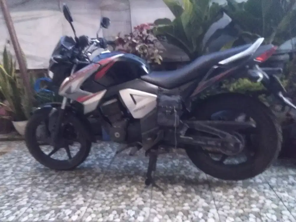 Megapro monoshock 2014