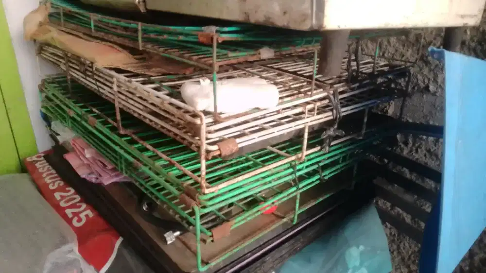 3 Kandang kucing lipat