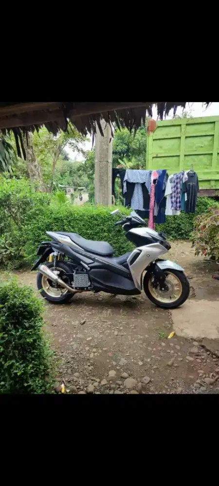 SPION+COVER RADIATOR(ARM) + KNALPOT(R9Alpha)