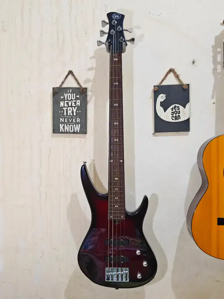 Gitar Bass custom 5 String