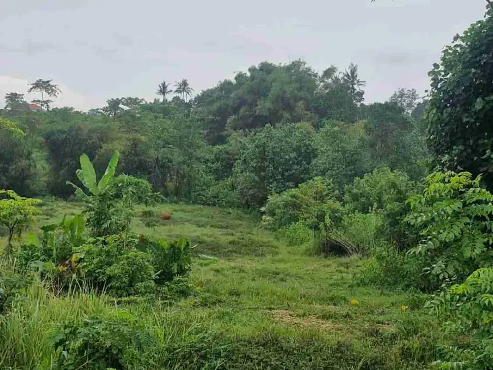 dijual tanah 40are di kediri tabanan bali