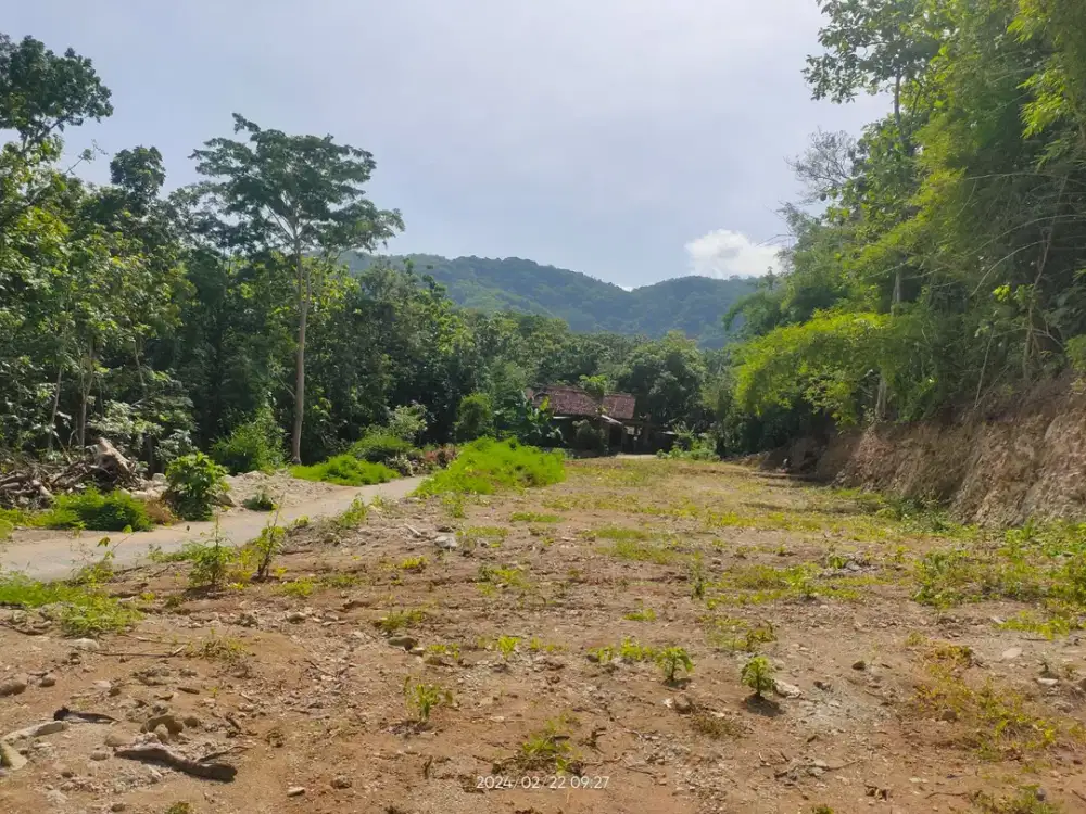 Dijual Tanah Murah Bantul 900 Rb/m2 Cocok Investasi & Hunian