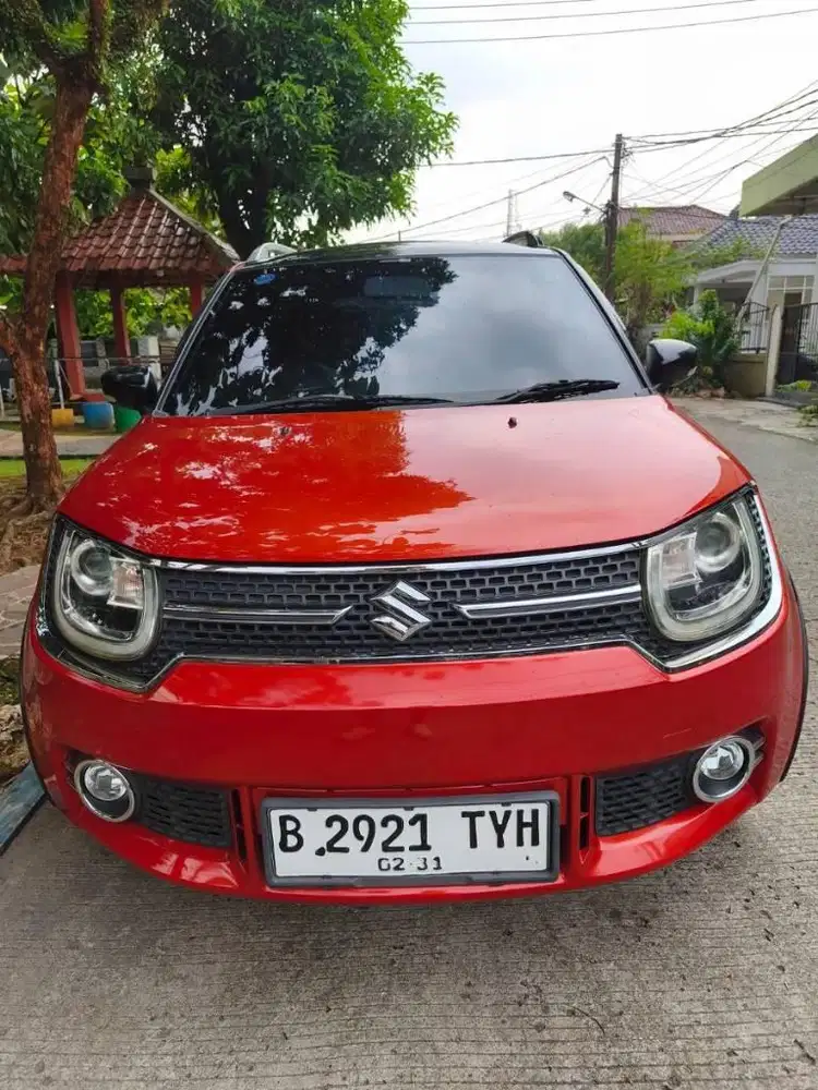 IGNIS CAKEP MURAH