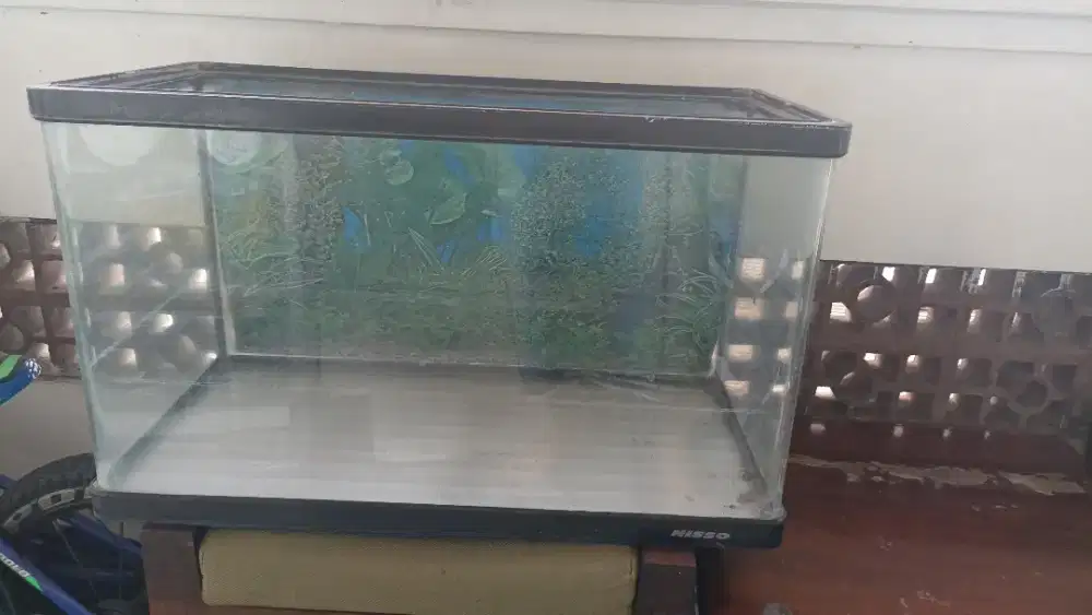 Akuarium P60 L30 T39