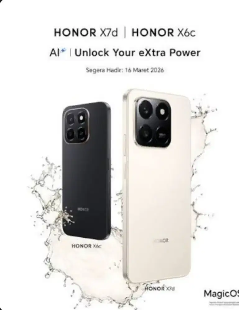 Honor X6c 6+6/256