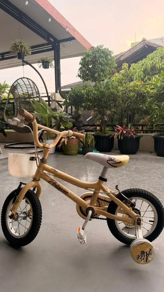 Sepeda Polygon Alice 12