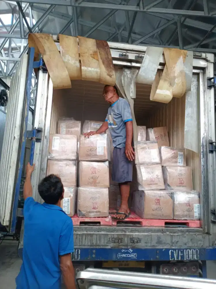 Durian Medan Premium