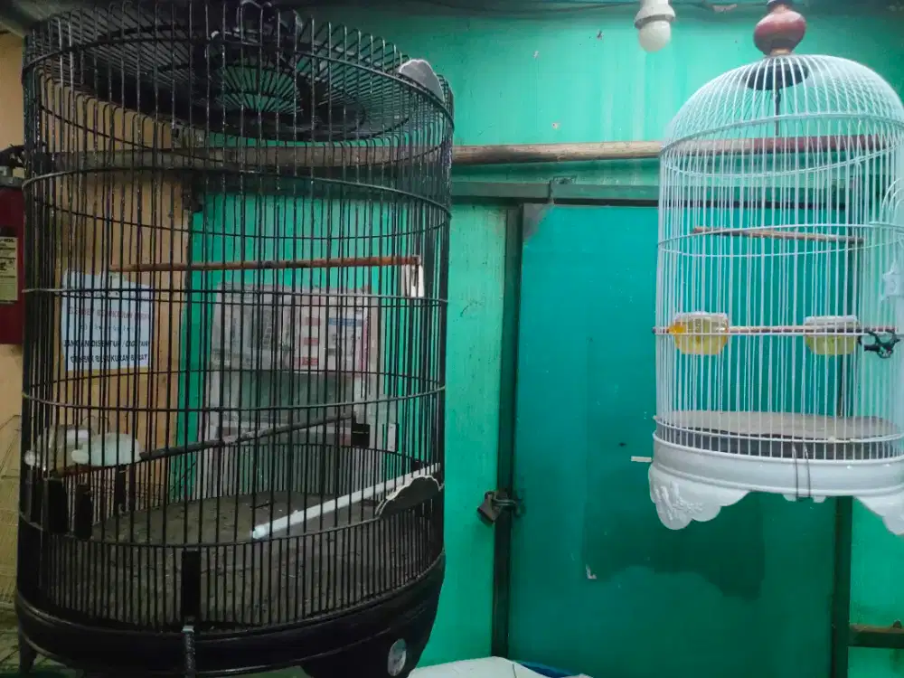 2 Sangkar Burung Kondisi 92%