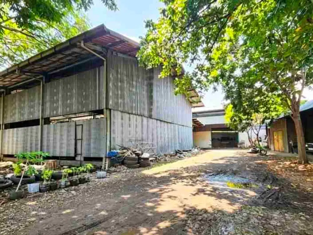 5jt/m selangkah TOL DUPAK tanjungsari demak pasar turi PGS simorejo simo
