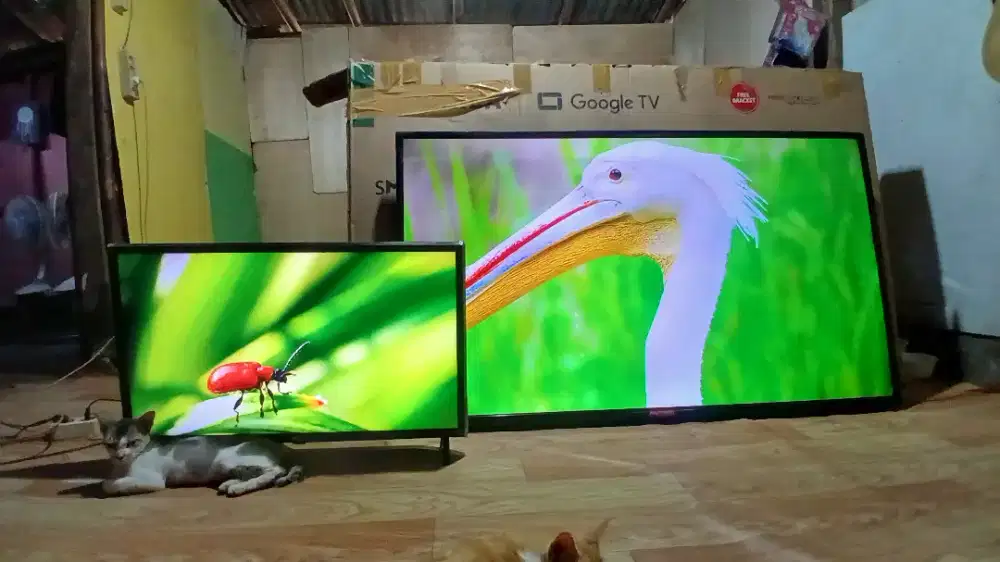 Google TV polytron 60 inc + LG android 32inc