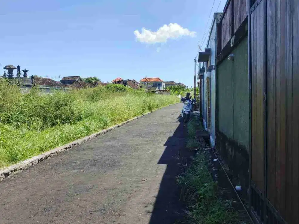 Jual Tanah Luas 138m² HAK MILIK &amp; ZONA KUNING, Tidak Banjir Lokasi Gg. Mertasari Kerobokan.i - Thumbnail 2