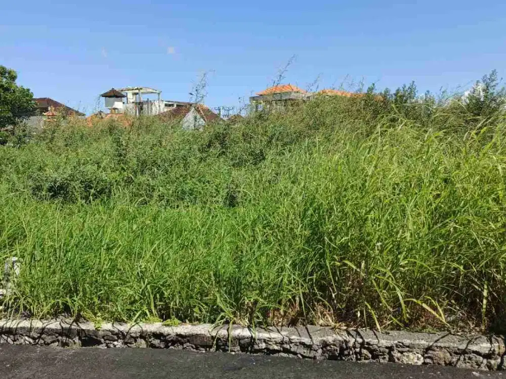 Jual Tanah Luas 138m² HAK MILIK & ZONA KUNING, Tidak Banjir Lokasi Gg. Mertasari Kerobokan